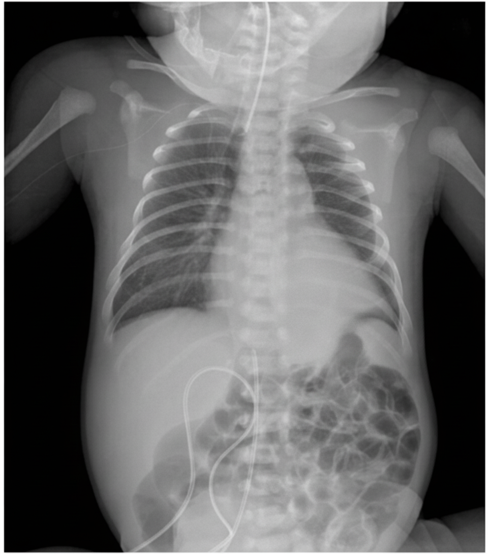 Image for question 480