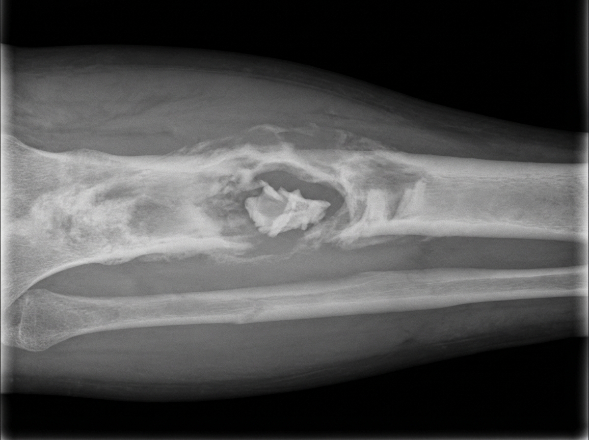 Image for question 24