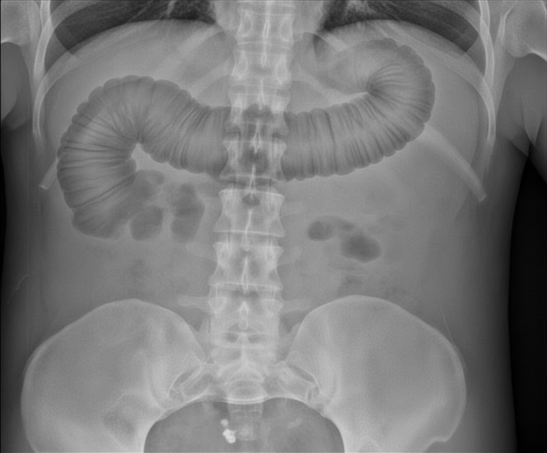 Image for question 7