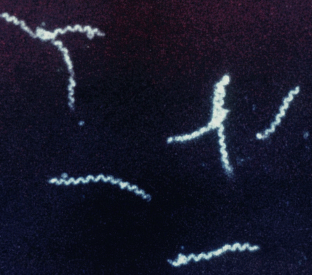 Image for question 2046