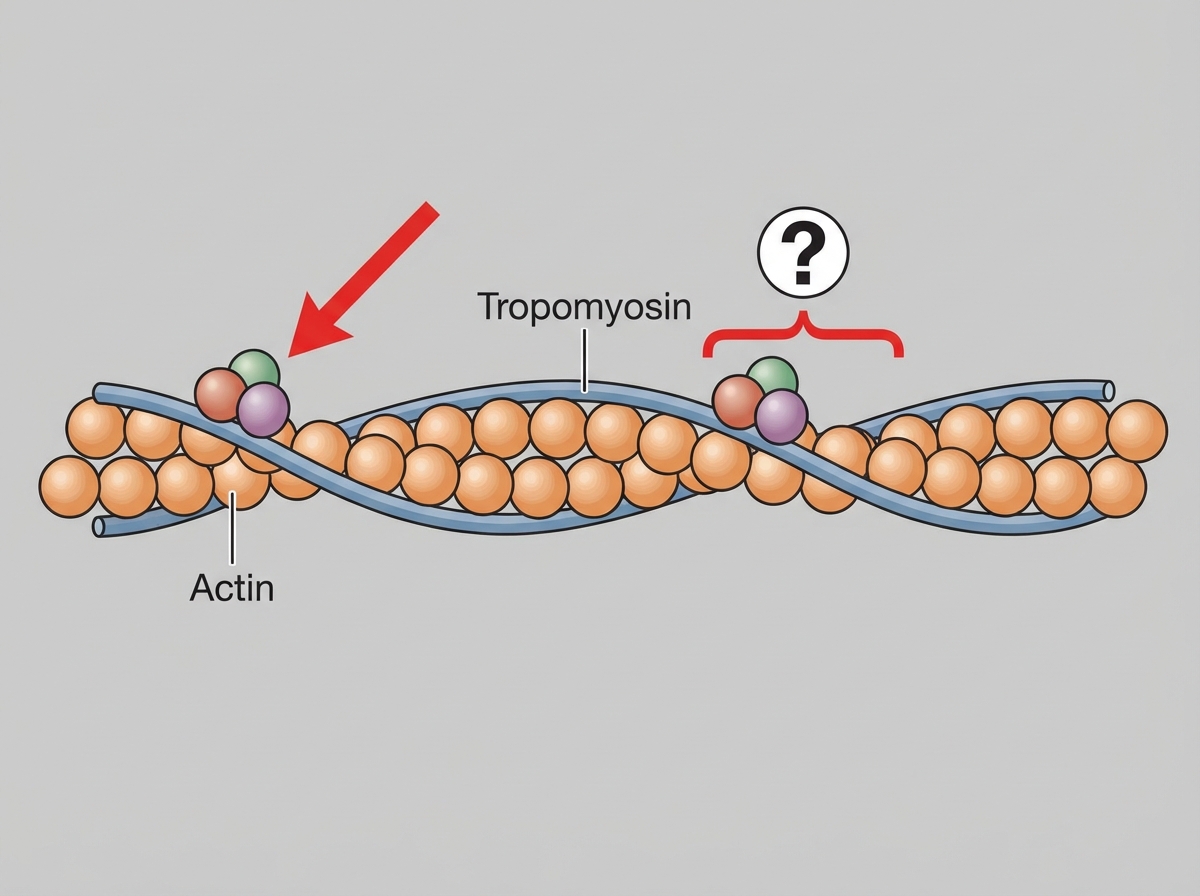 Image for question 176