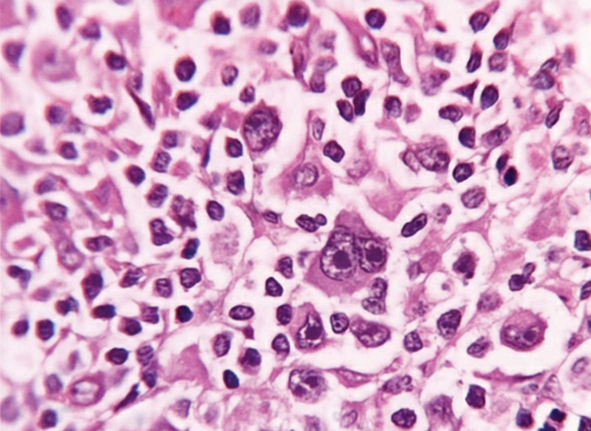 Image for question 36