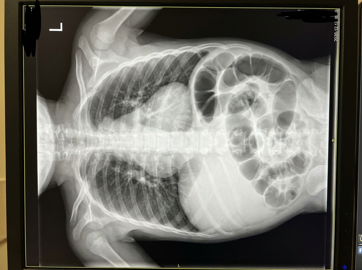 Image for question 4