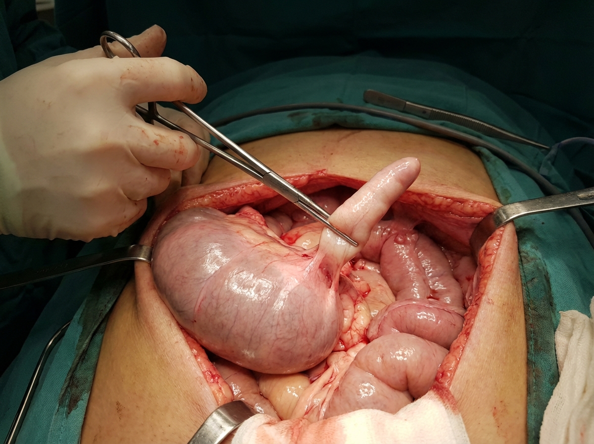 Image for question 5