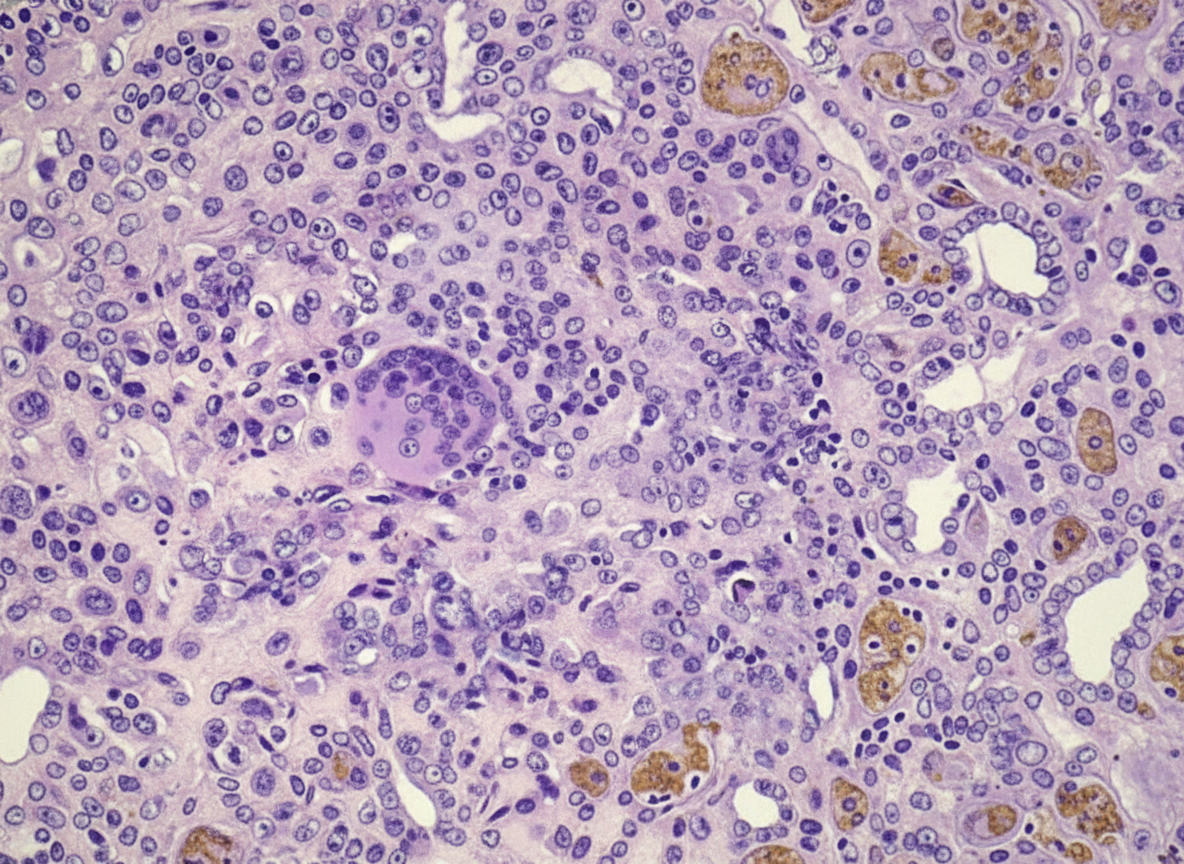 Image for question 30