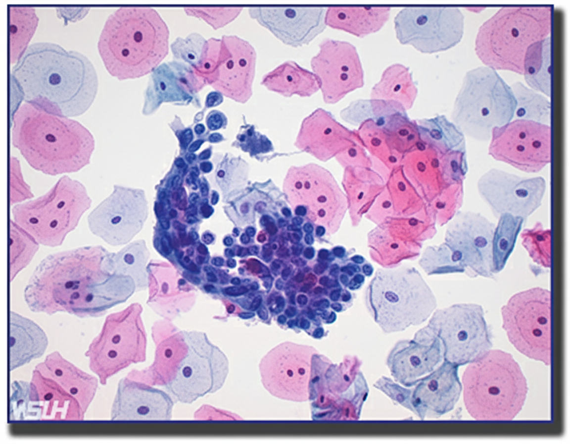 Image for question 21