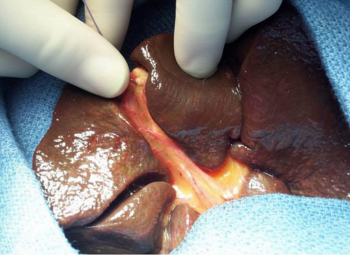 Image for question 6