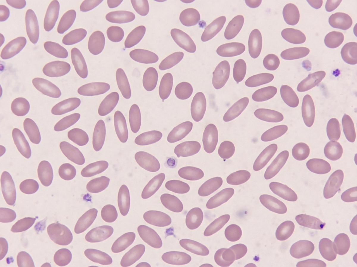 Image for question 23