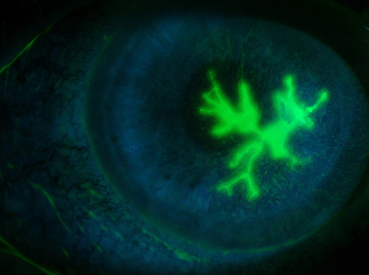 Image for question 9