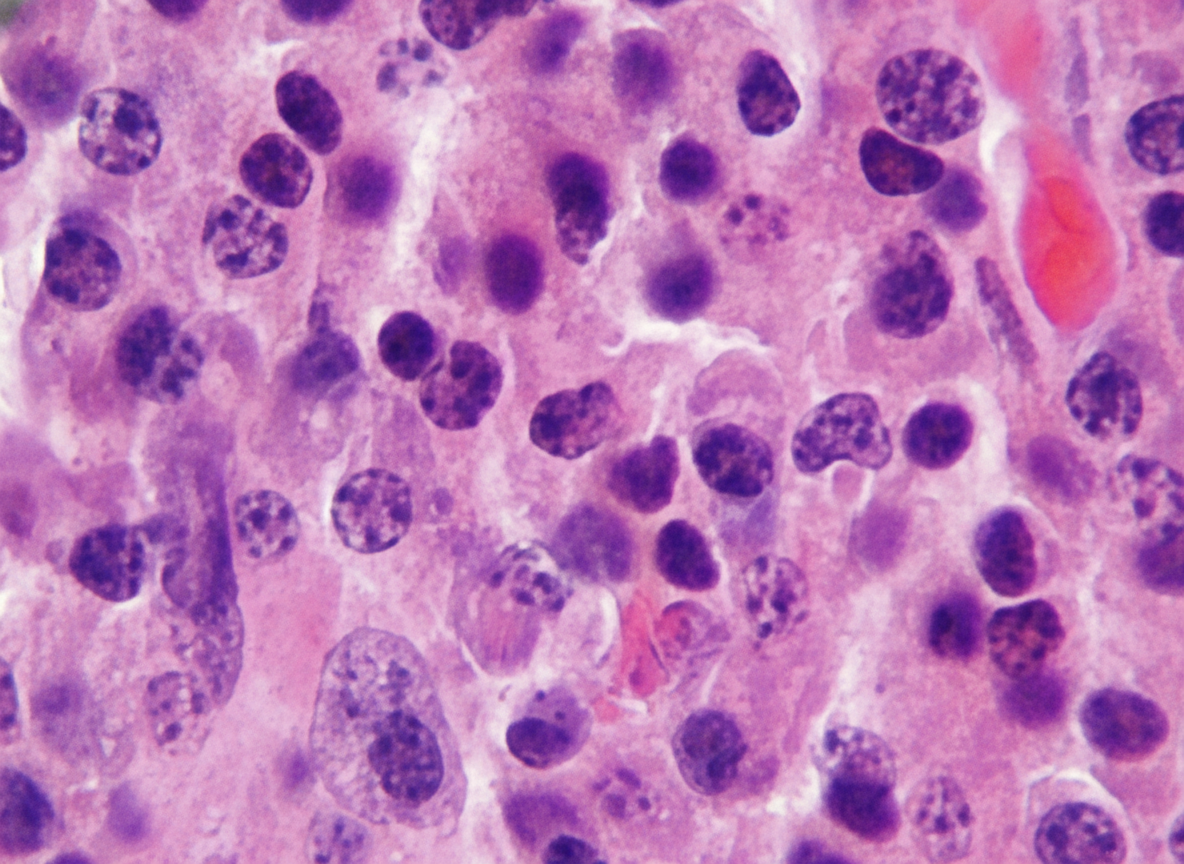 Image for question 12