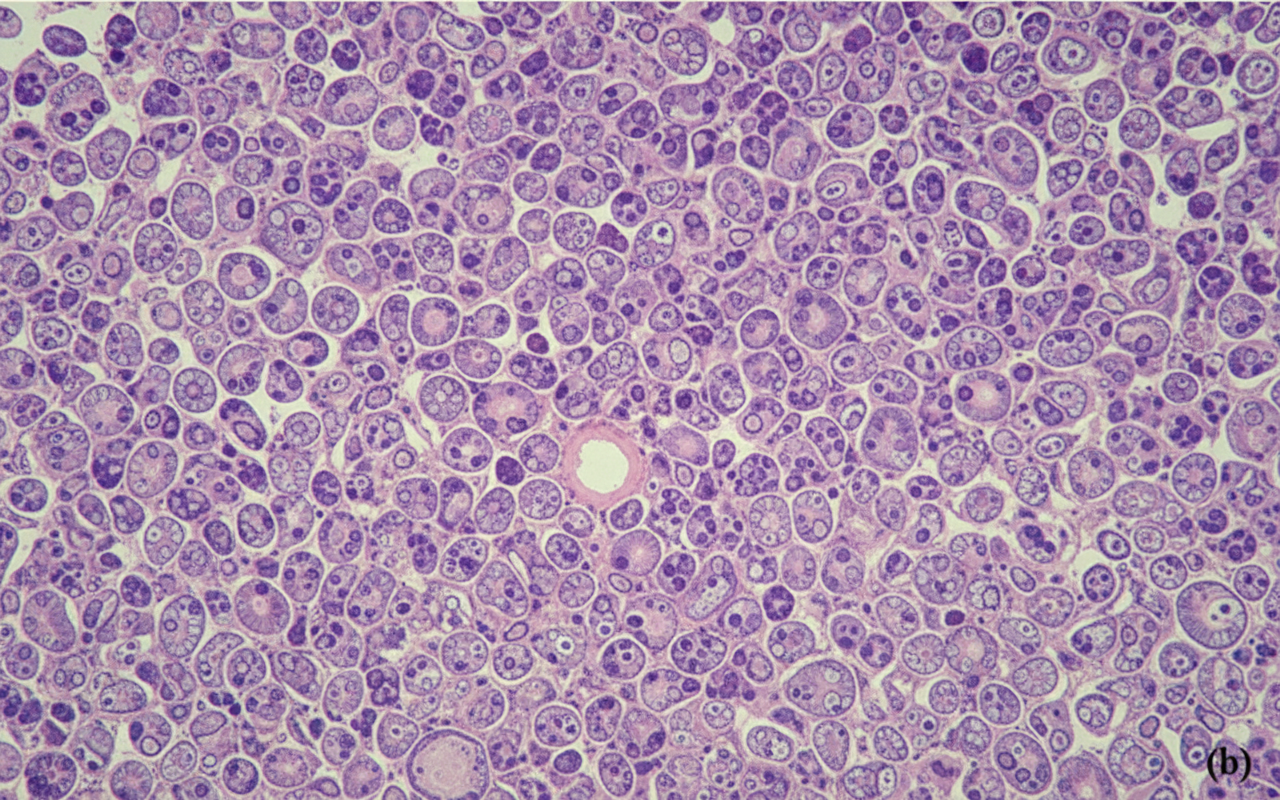 Image for question 36