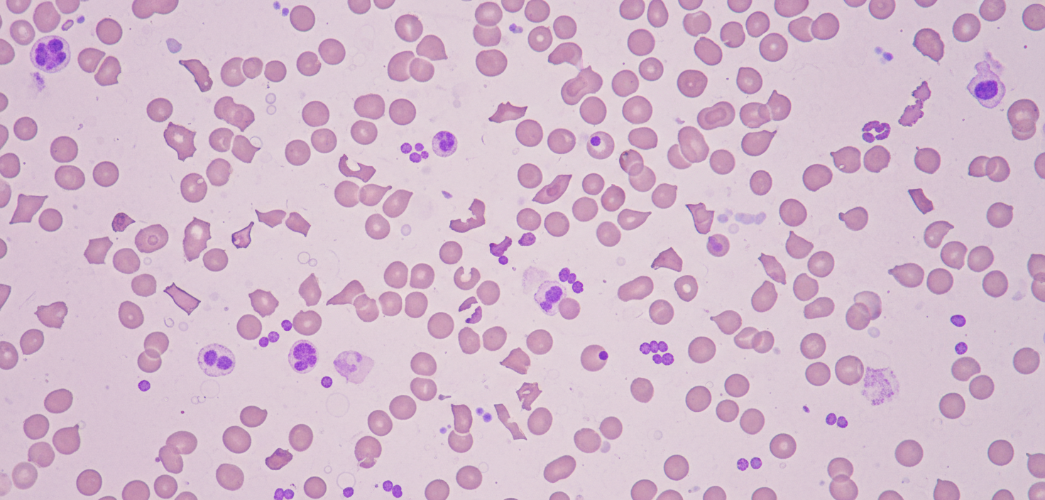 Image for question 64