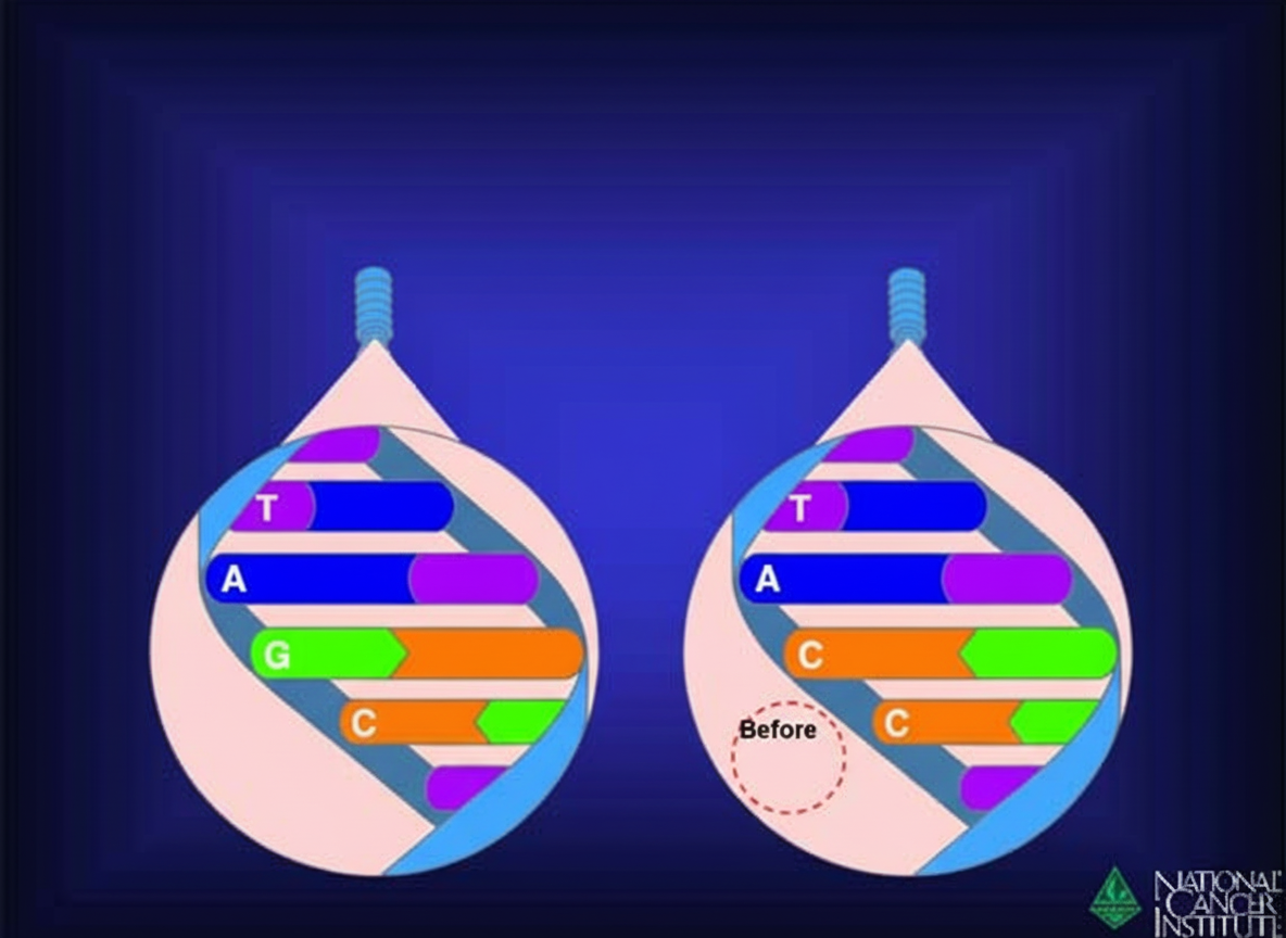 Image for question 438