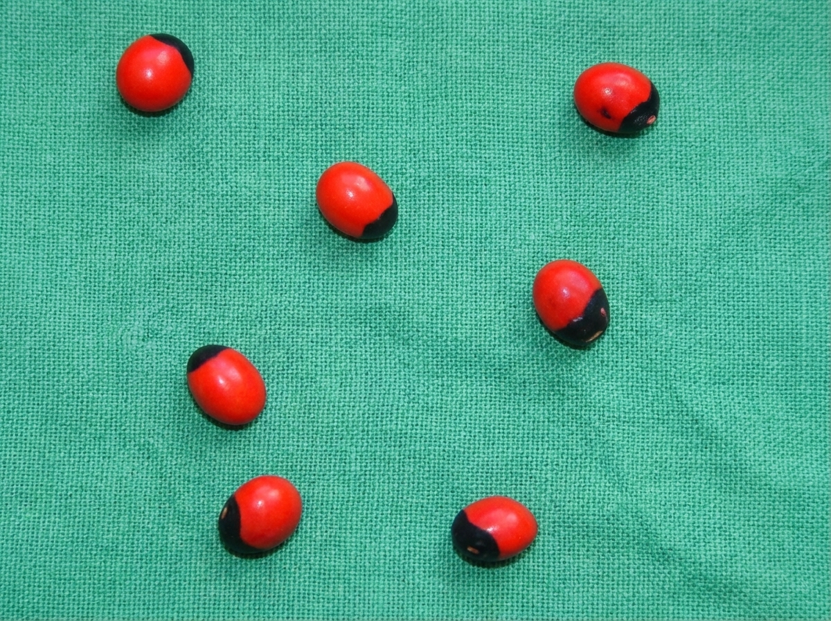 Image for question 263