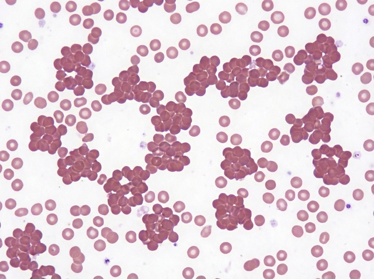 Image for question 86