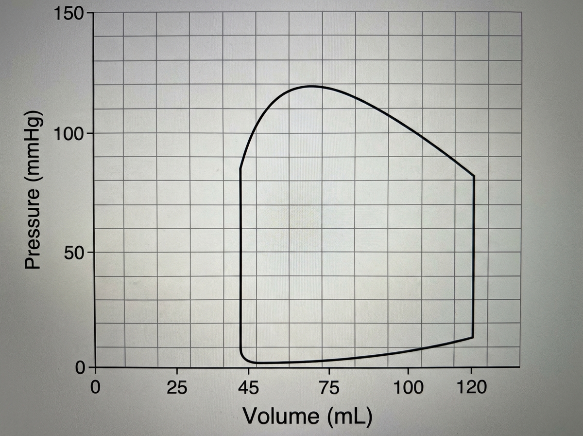 Image for question 397