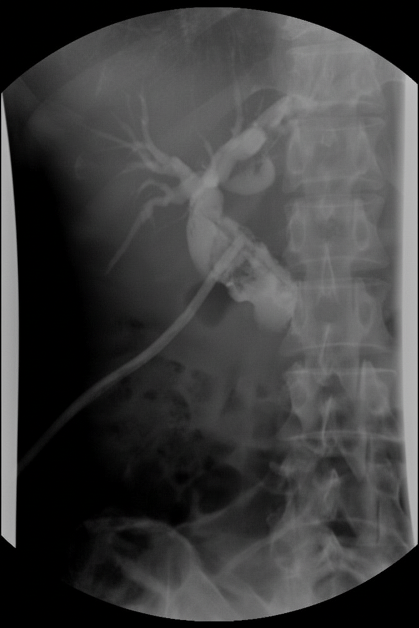 Image for question 477