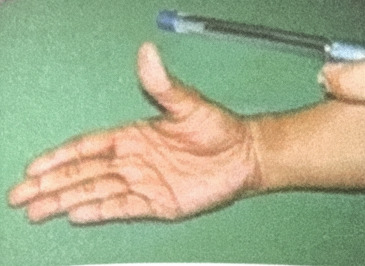 Image for question 10