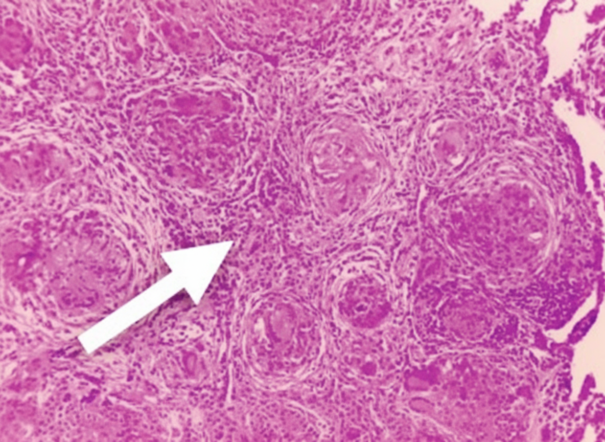 Image for question 23