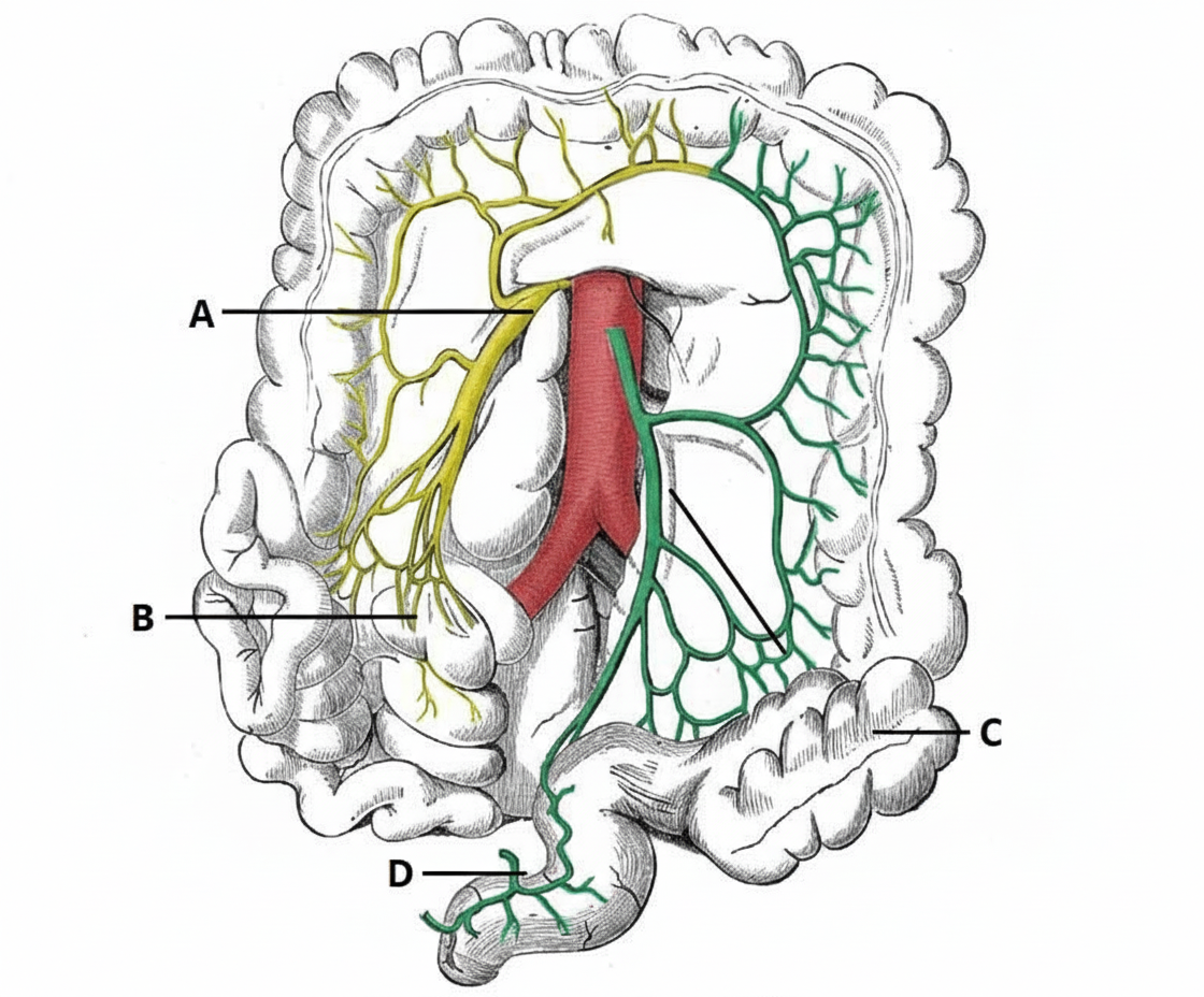 Image for question 105
