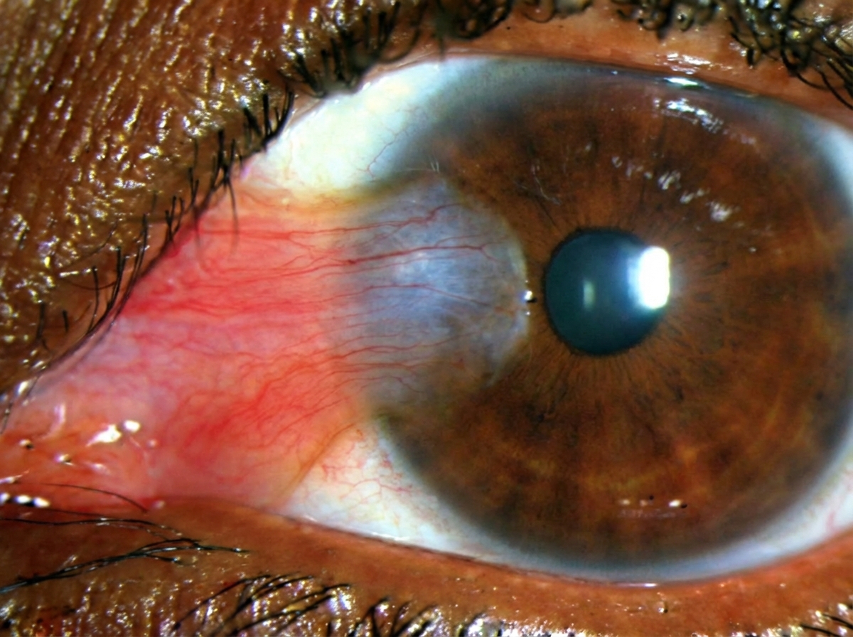 Image for question 7