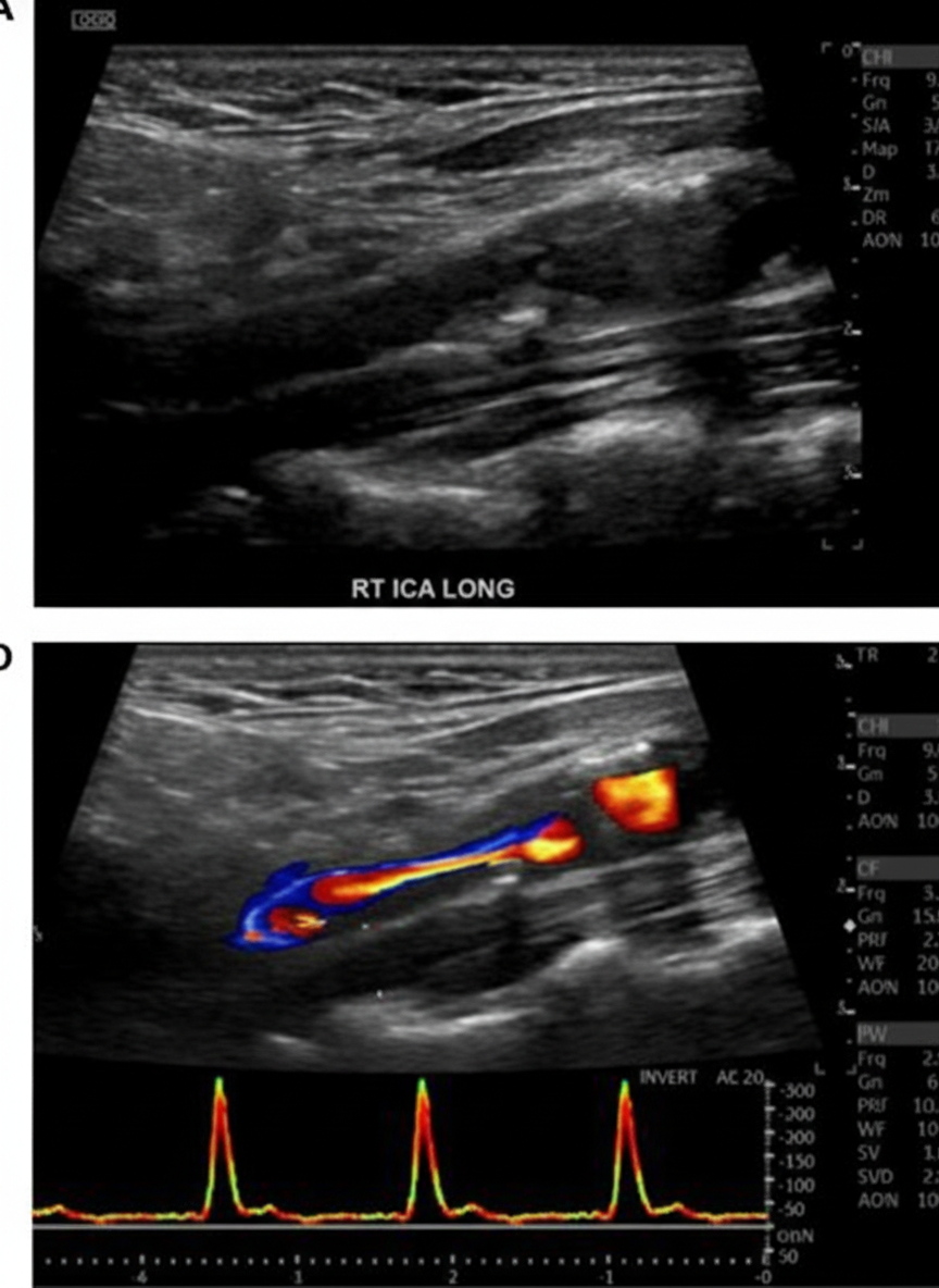 Image for question 5