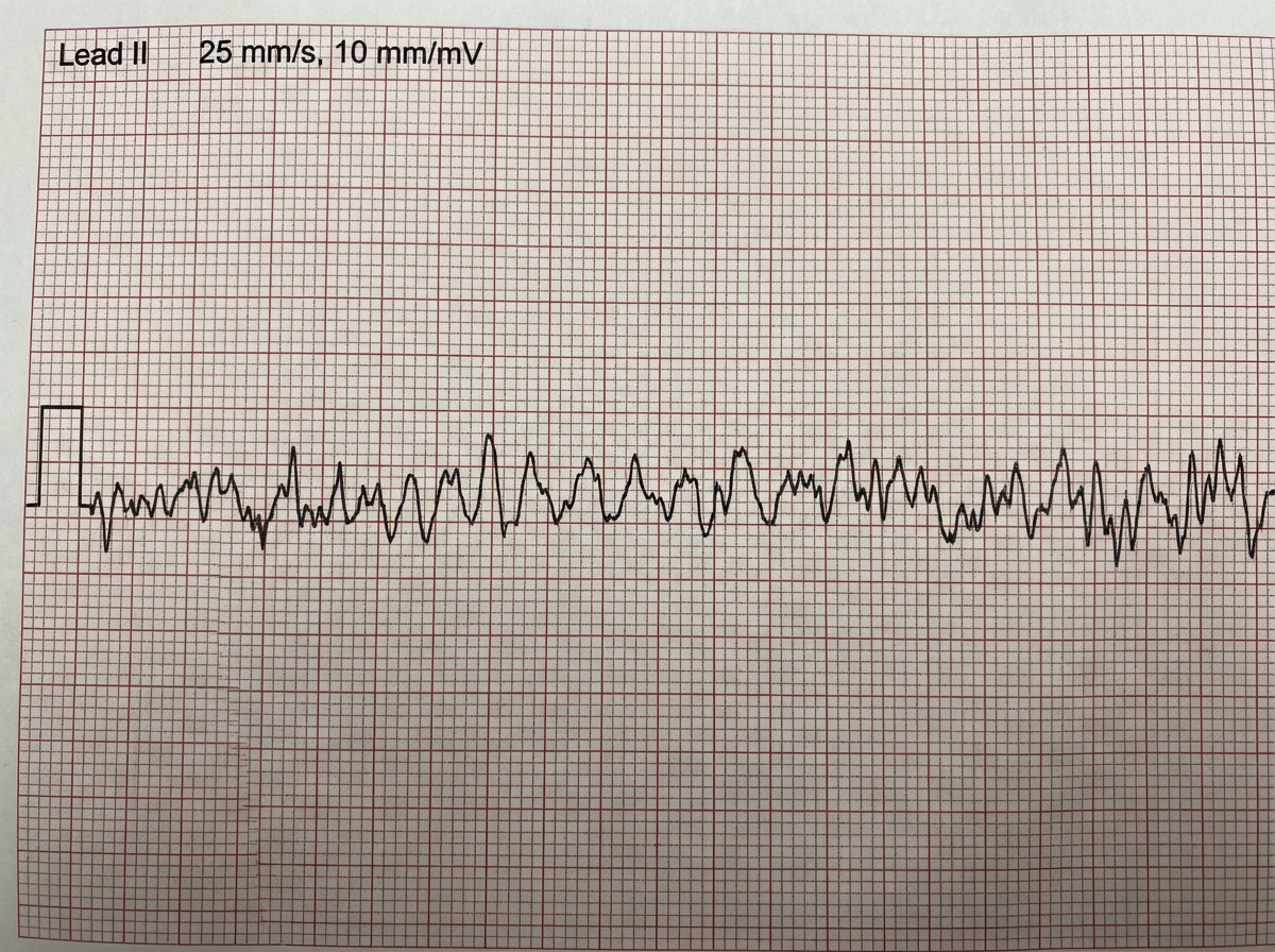Image for question 23
