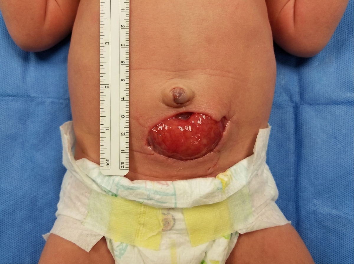 Image for question 5