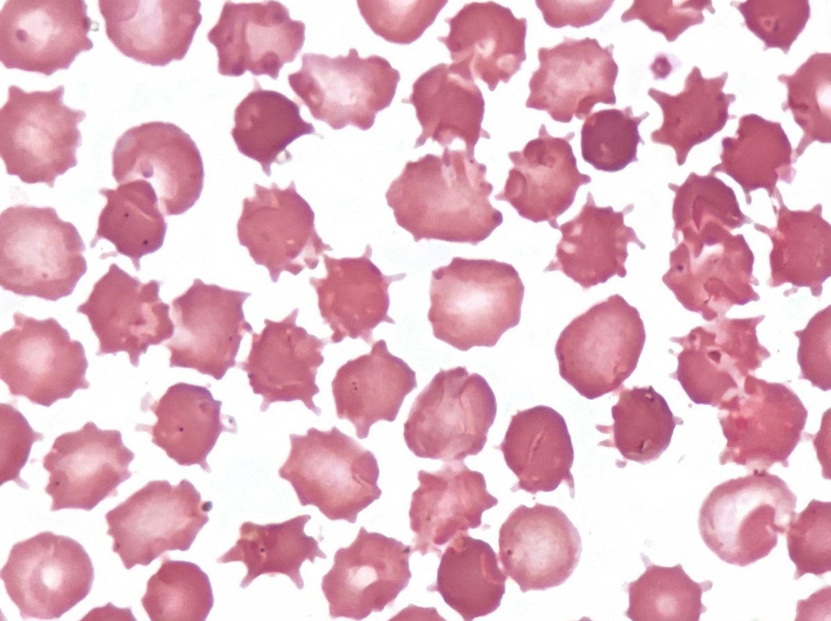 Image for question 4