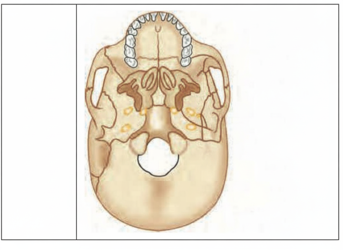 Image for question 2