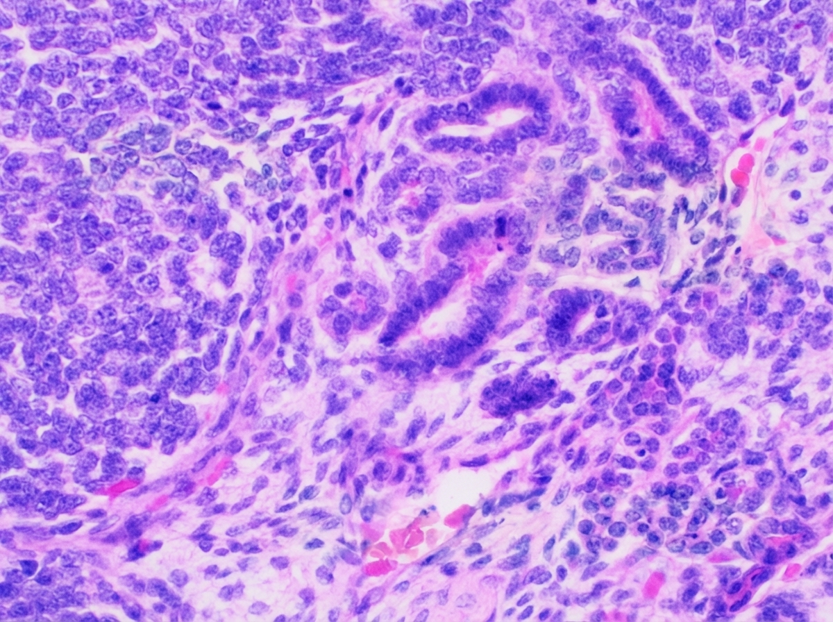 Image for question 33