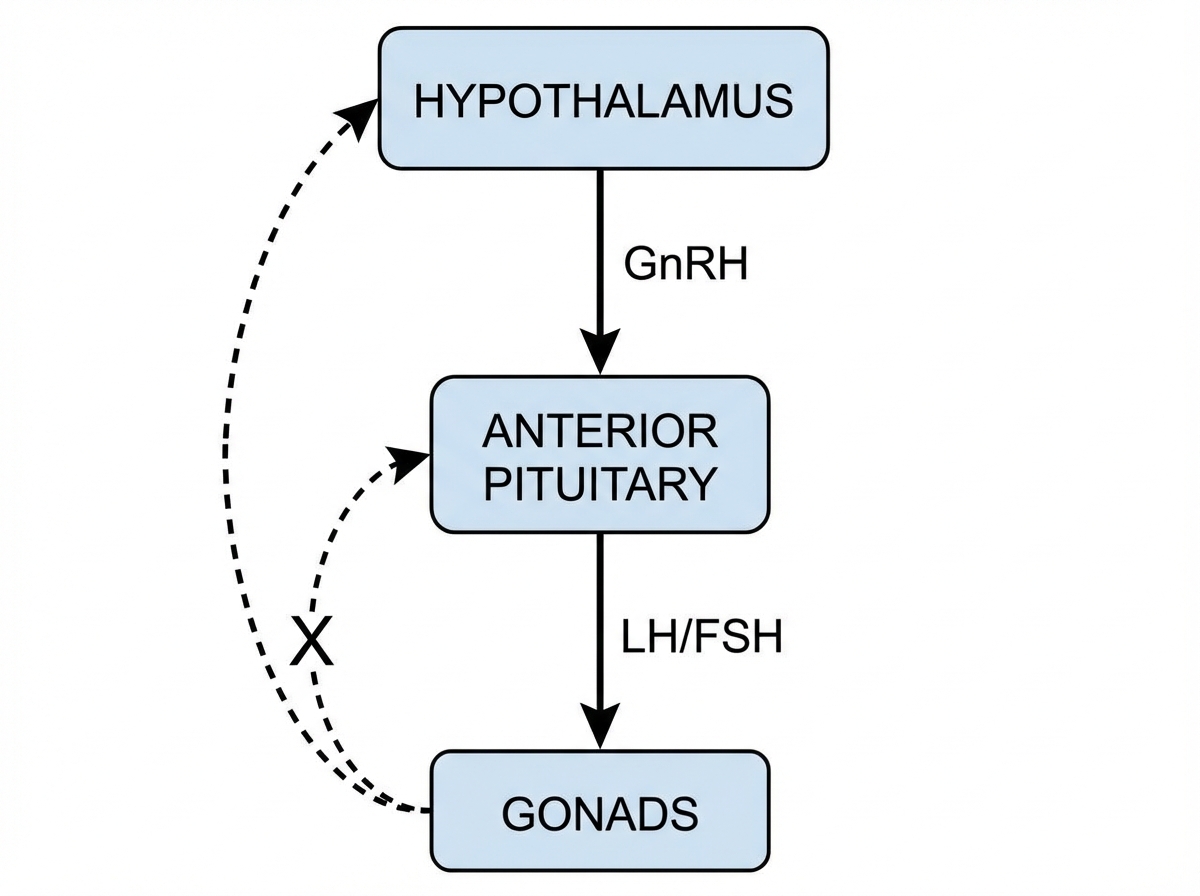 Image for question 437