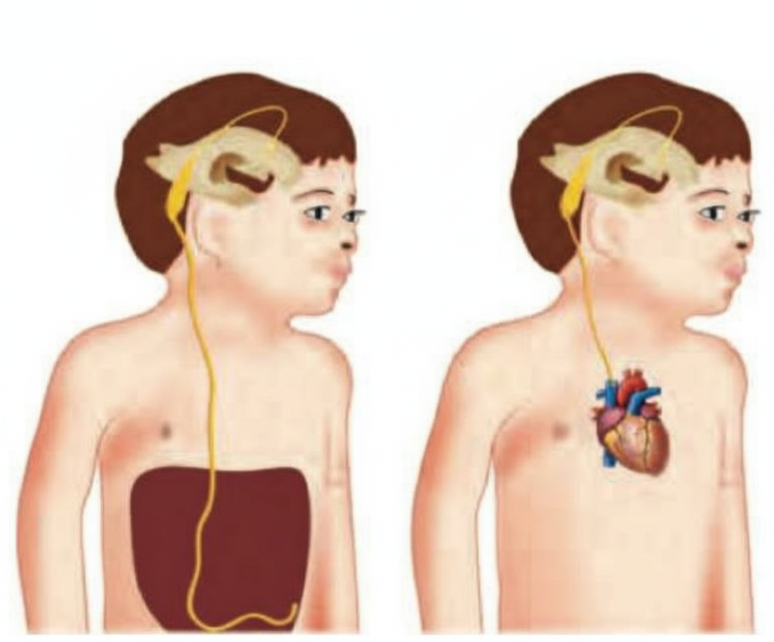 Image for question 8