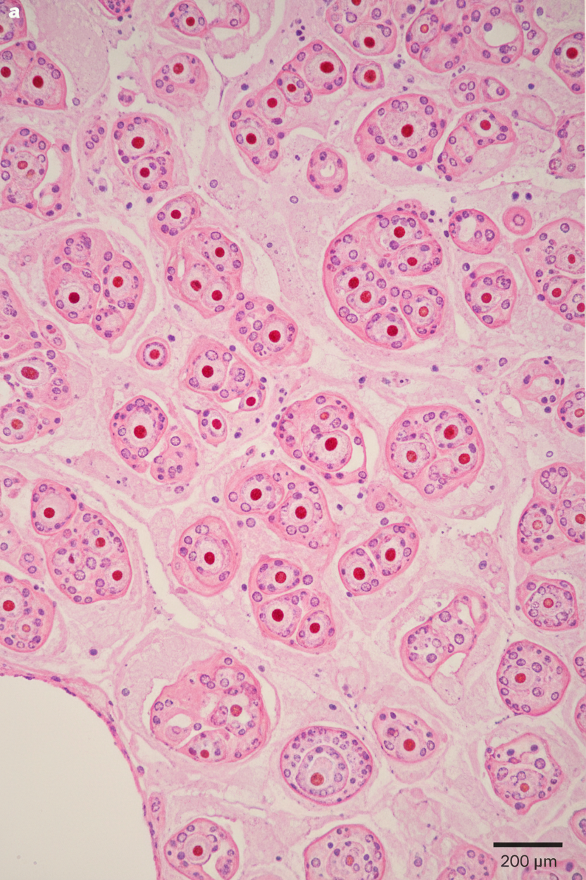 Image for question 1