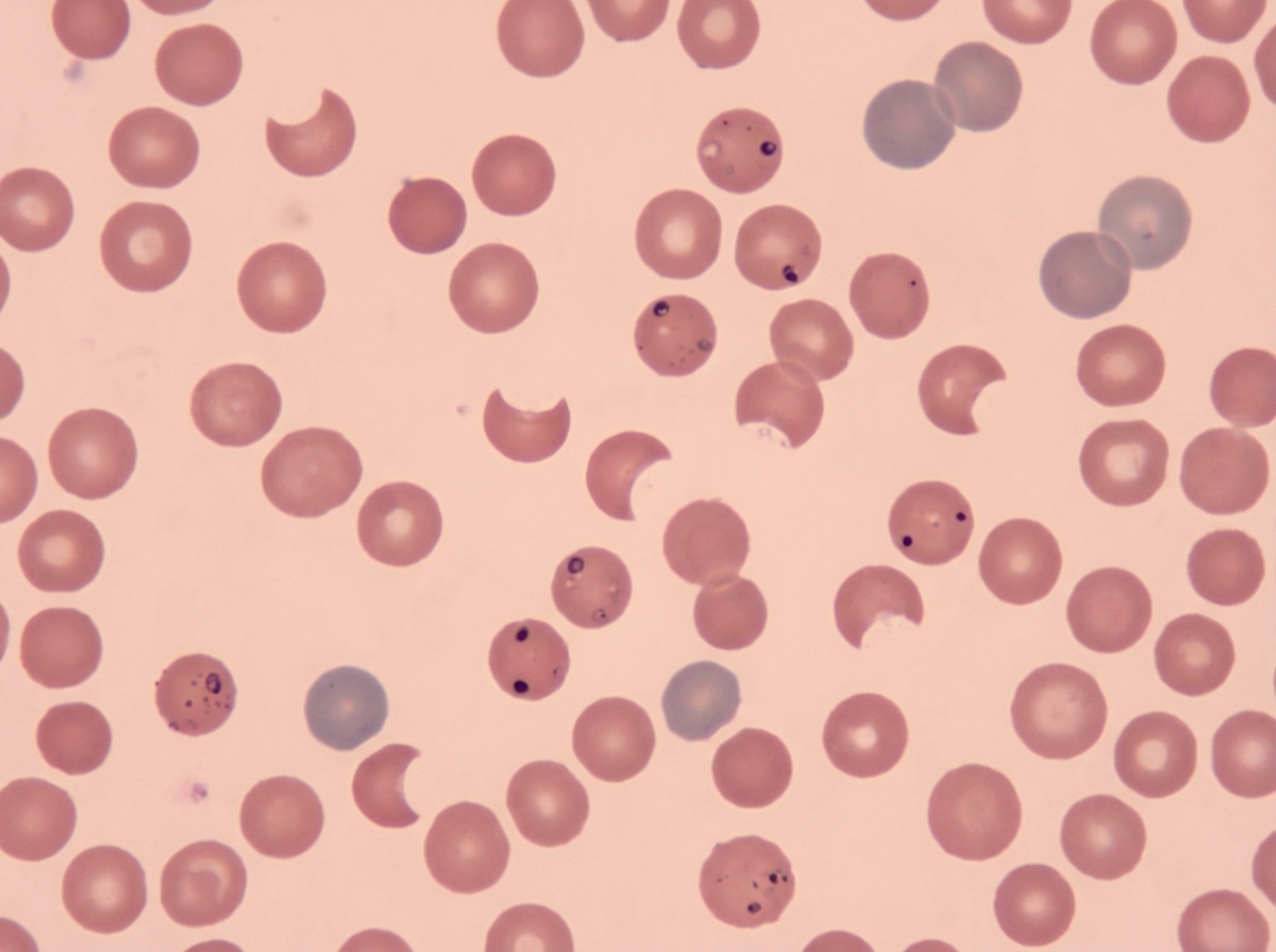 Image for question 5