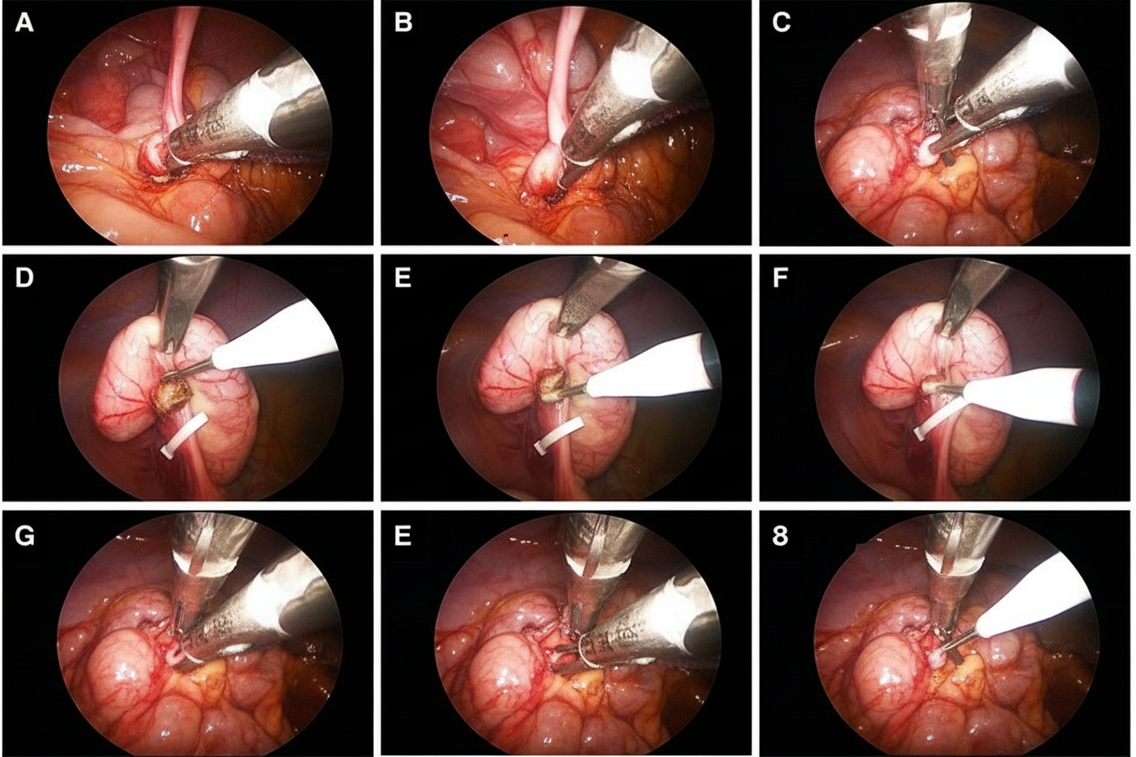Image for question 750