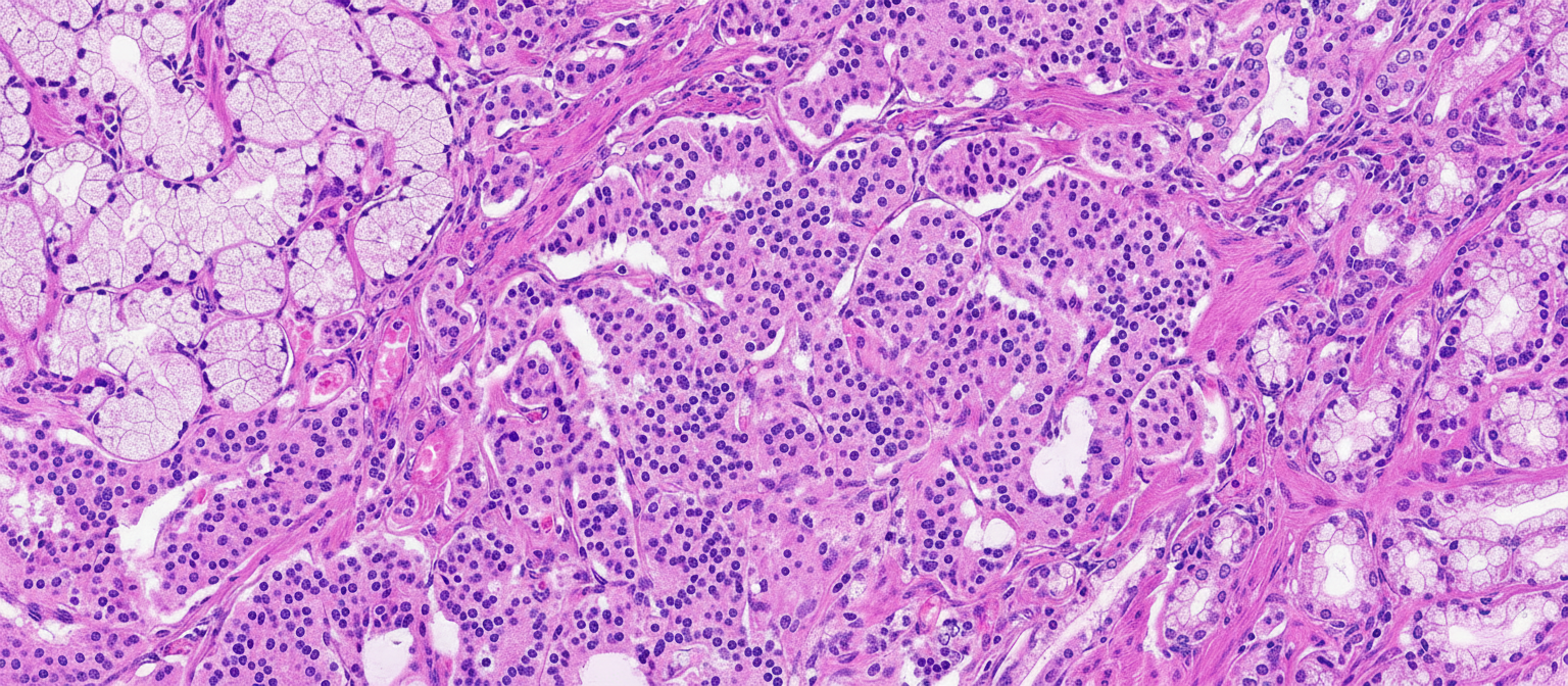 Image for question 38