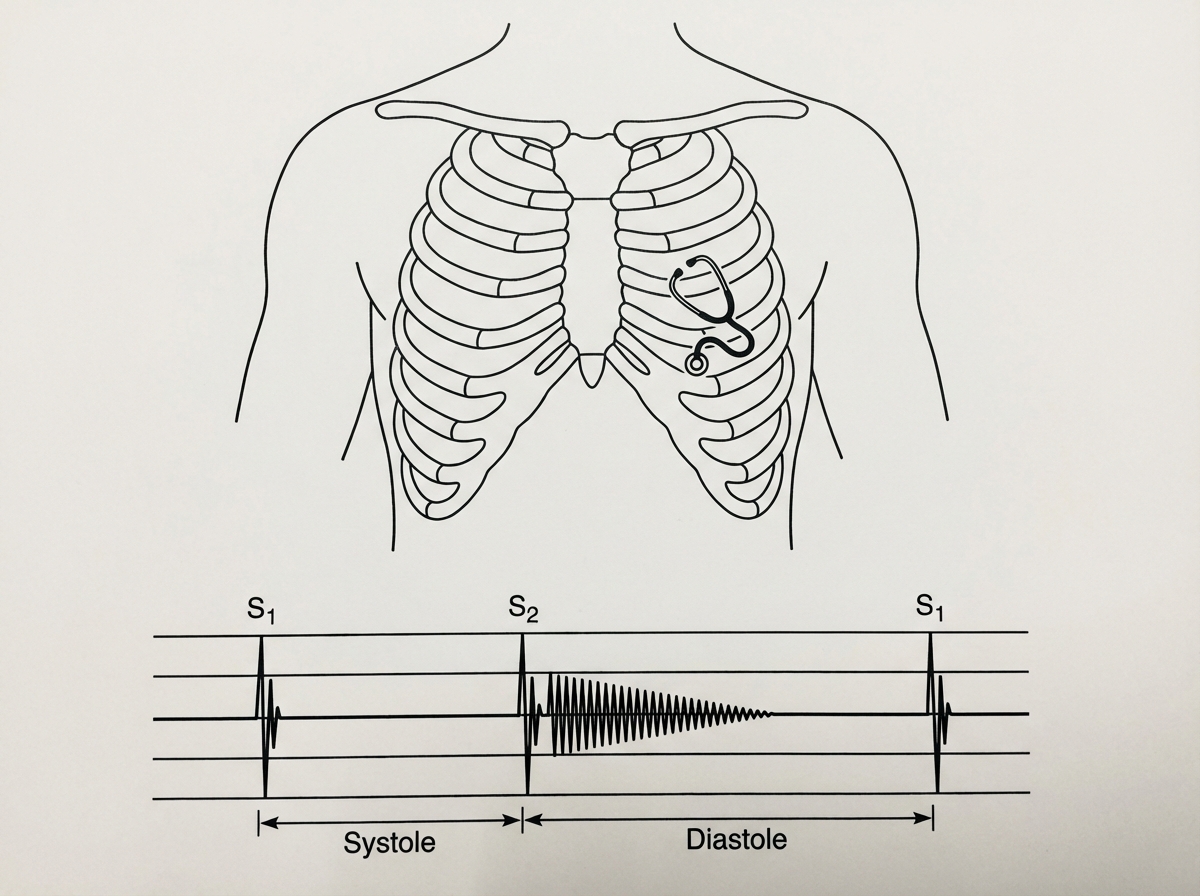 Image for question 589