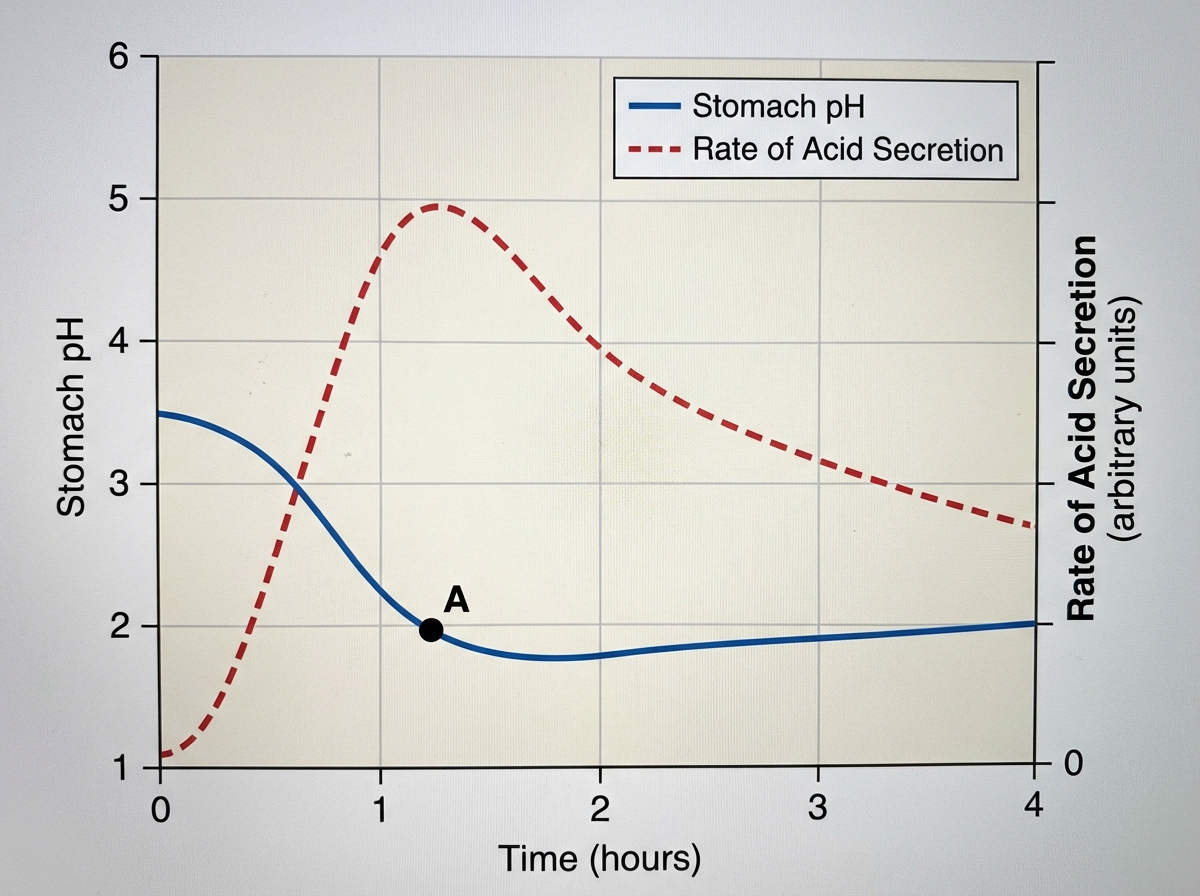 Image for question 128