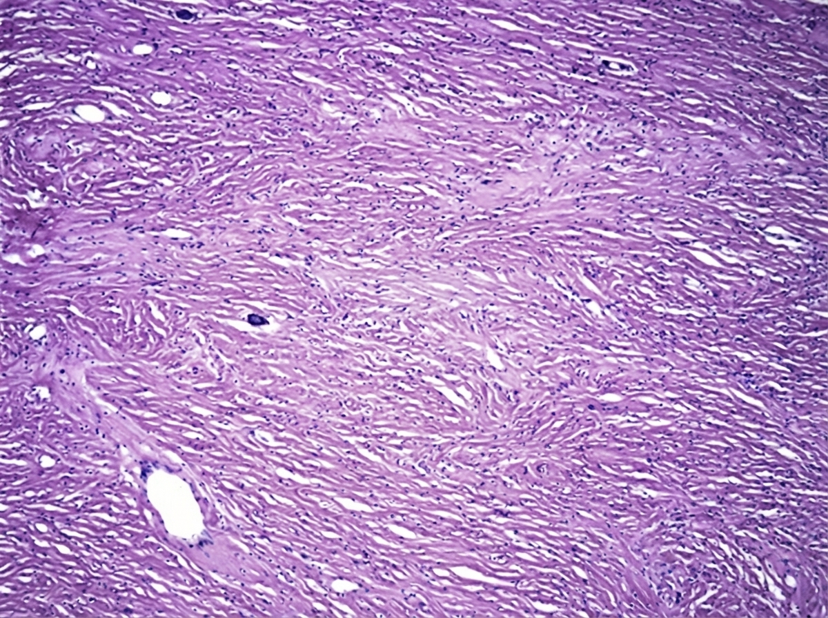 Image for question 73