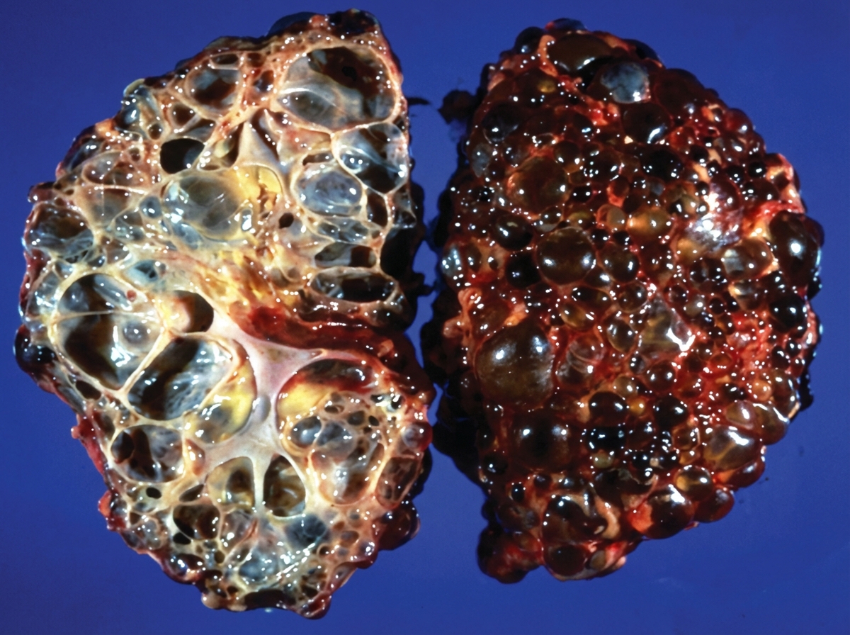 Image for question 13