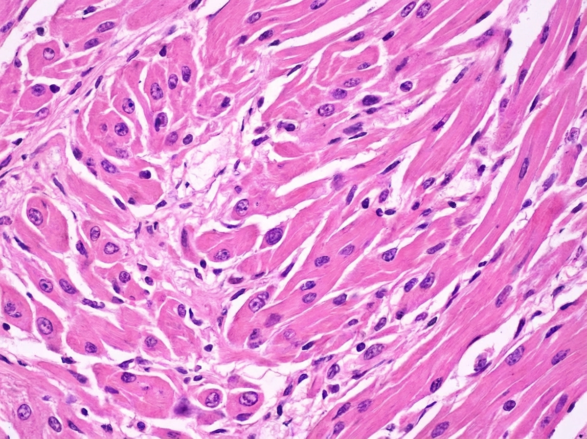 Image for question 1