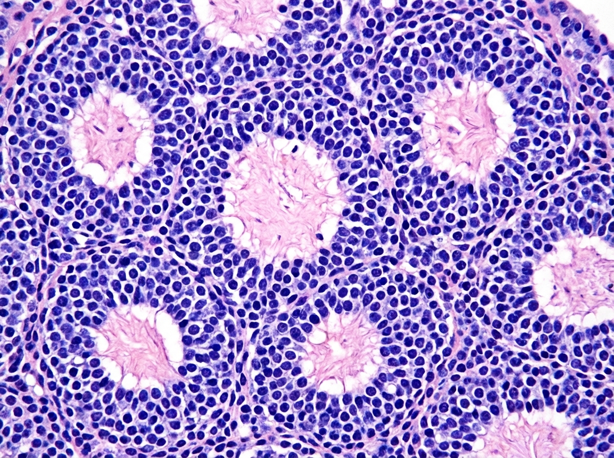 Image for question 13