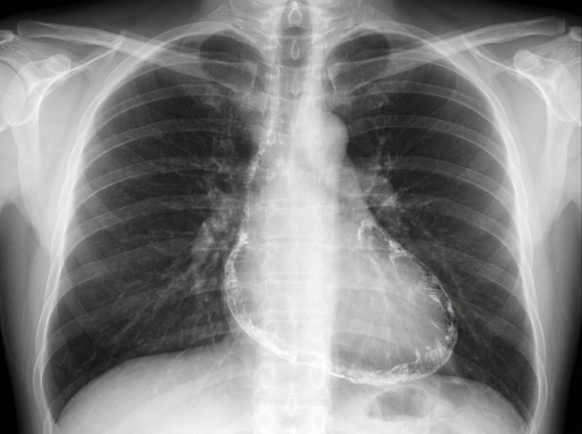 Image for question 38