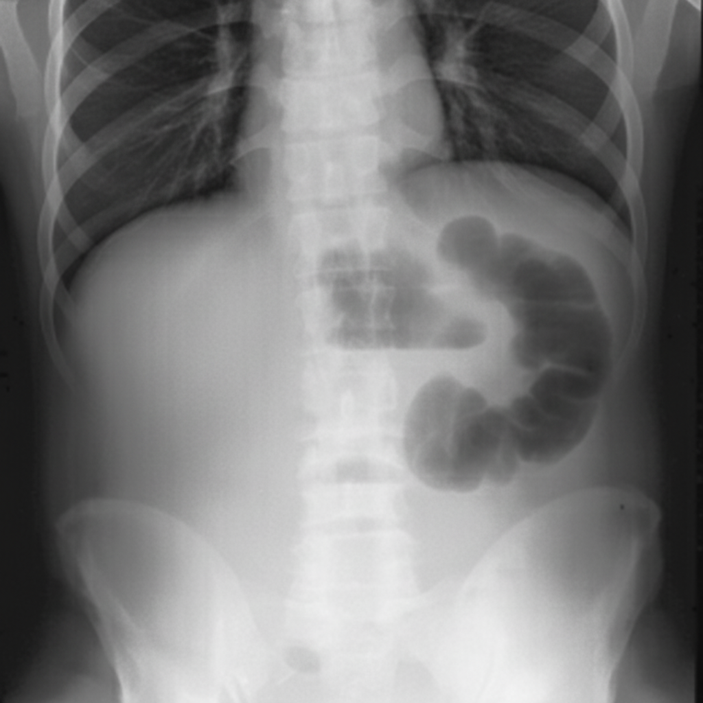 Image for question 65