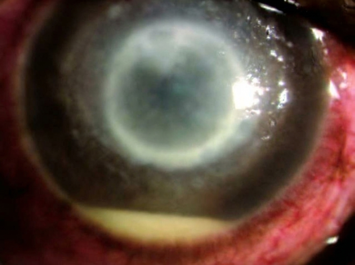 Image for question 38