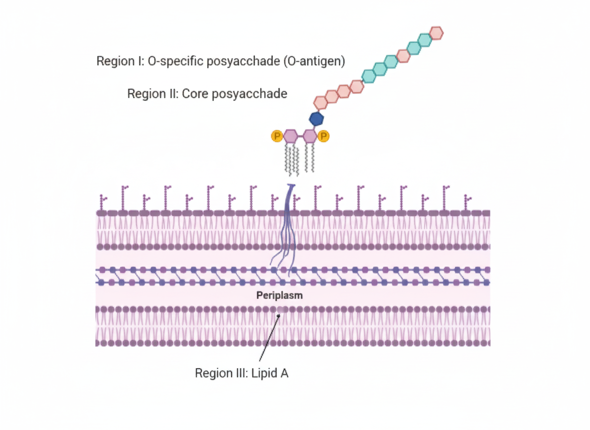 Image for question 887