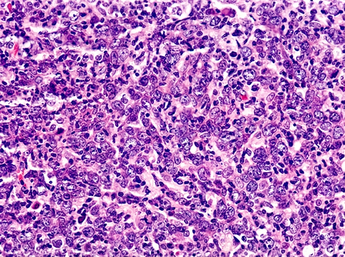 Image for question 78