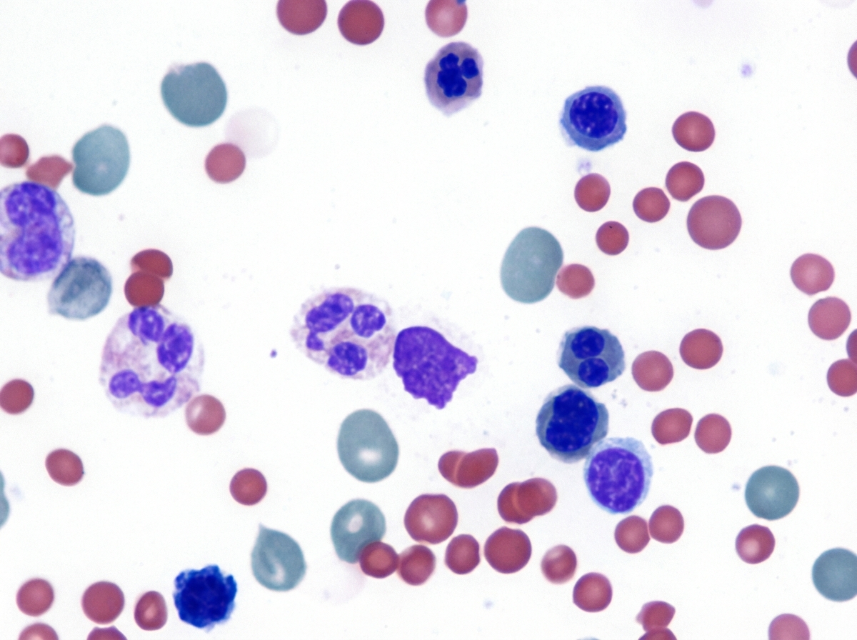 Image for question 36