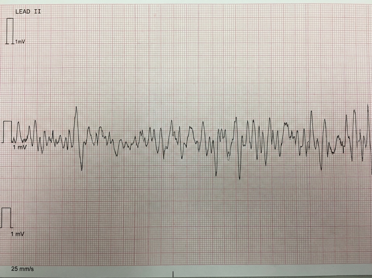 Image for question 40